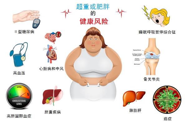 超重或肥胖的健康风险