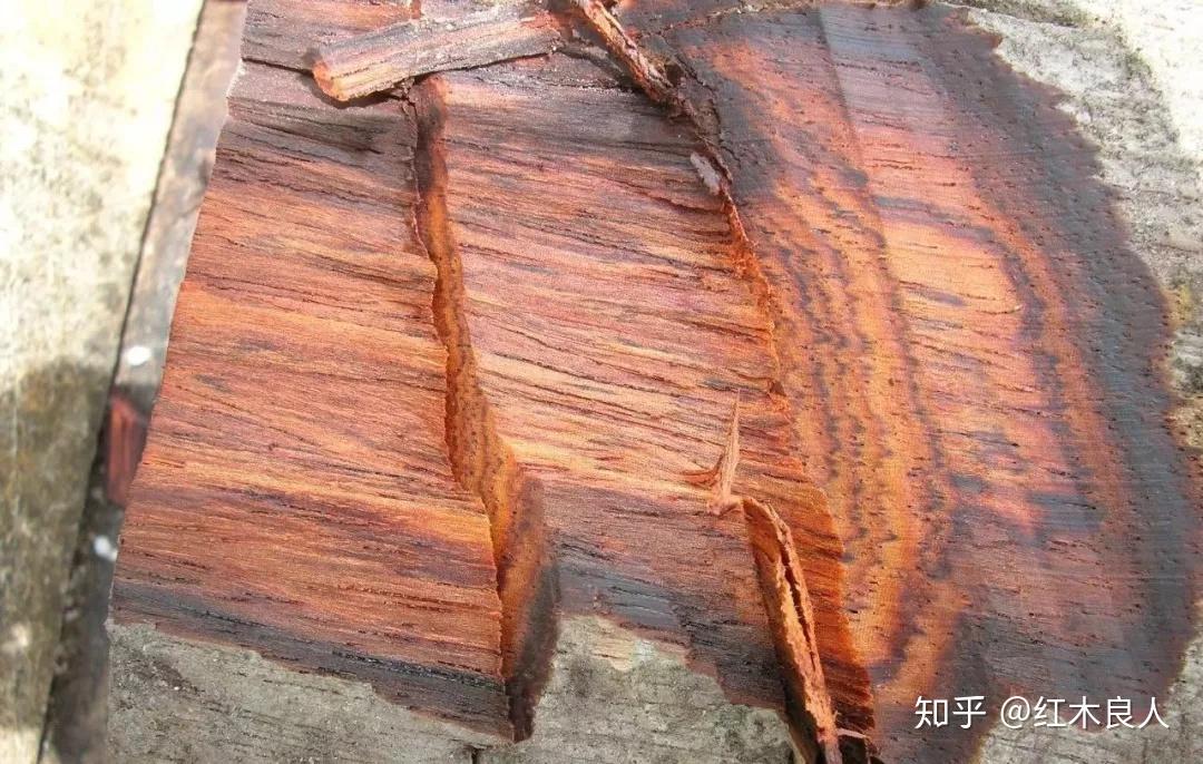 29种国标红木学名、俗称、图片及价格简介 - 知乎