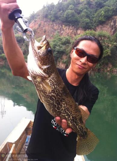 23路亚vib的特点有什么老虎路亚排骨老虎路亚钓鱼