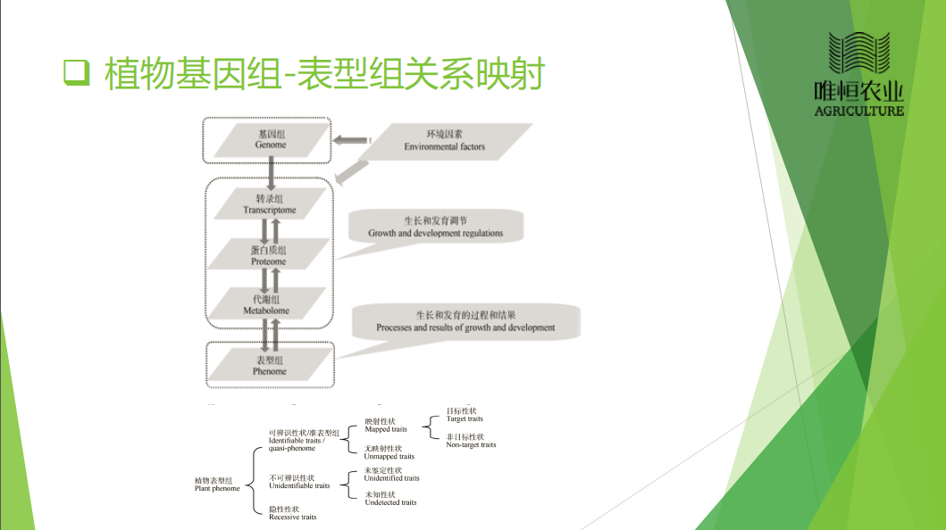 植物表型组学及其应用简介 - 知乎