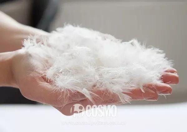 1000块和10000块的羽绒服区别到底在哪里? - 知乎