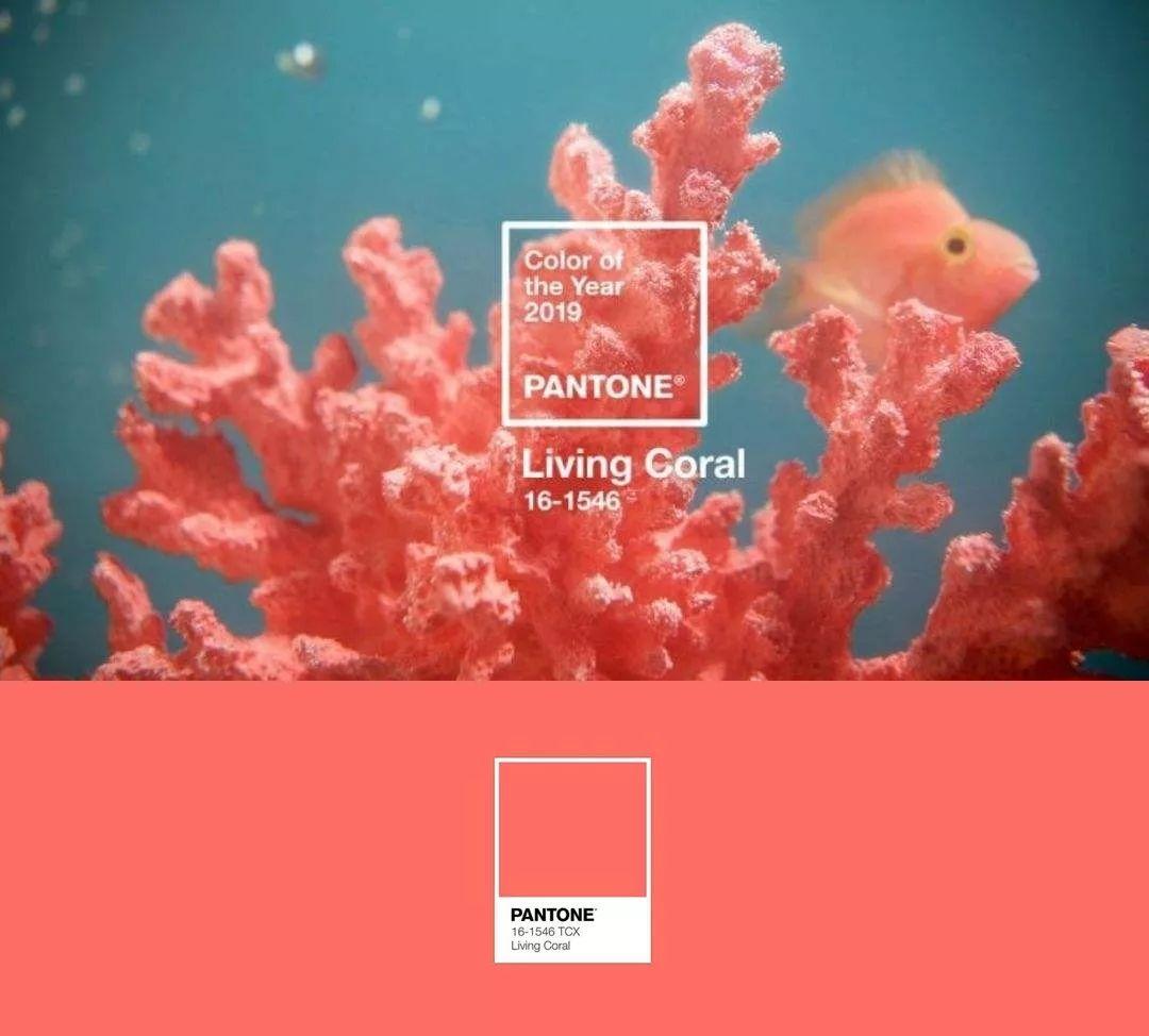 2020 潘通流行色，经典蓝来了 - 知乎