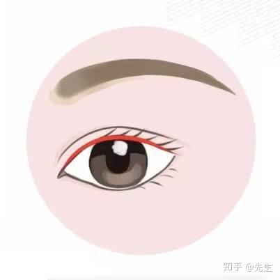 眼型揭秘一分钟判断你的眼型 - 知乎