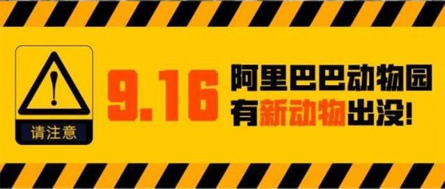 继蚂蚁天猫盒马后阿里动物园再添新物种迅犀主攻新制