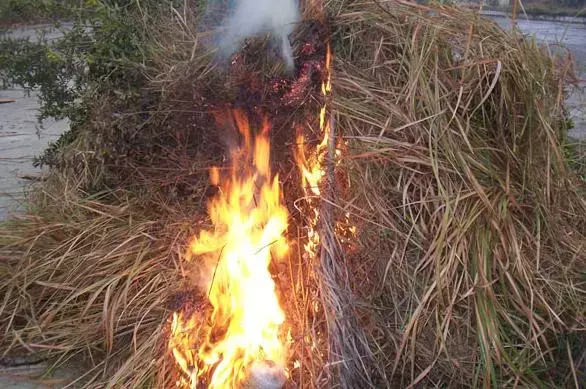 教您自制草木灰,花草肥料不用愁 - 知乎