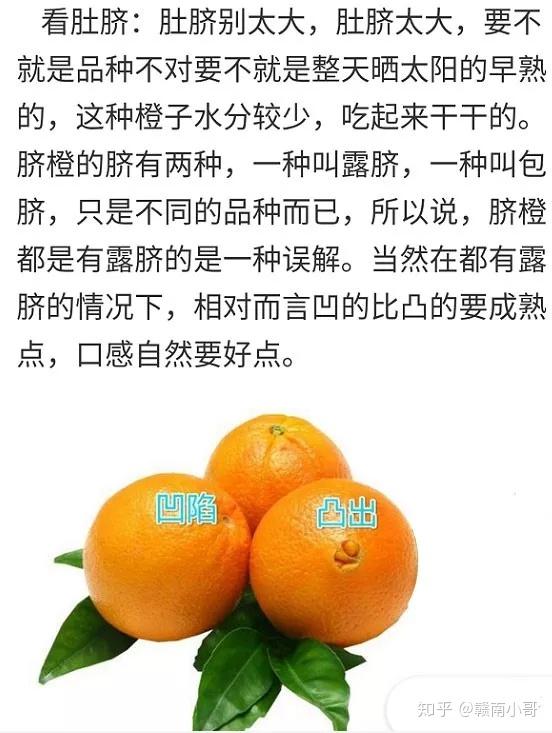 赣南脐橙没有公母之分