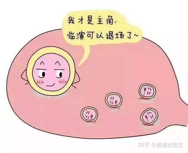 借卵试管失败后第二个月自然怀孕