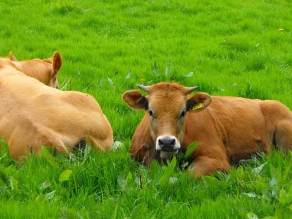 就地卧倒休息休息