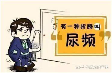一天“小便”几次才最正常? - 知乎
