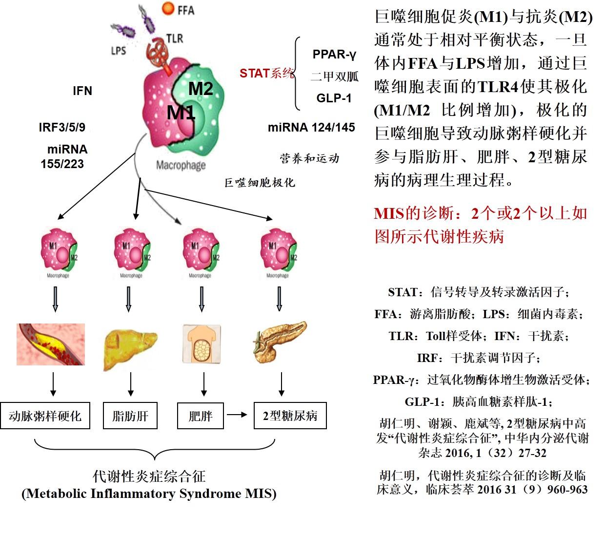 My Image 32