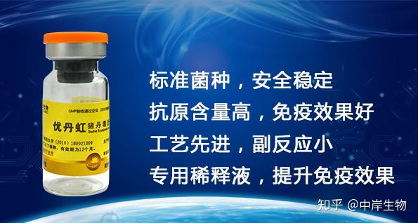 猪丹毒流行及防控措施 - 知乎