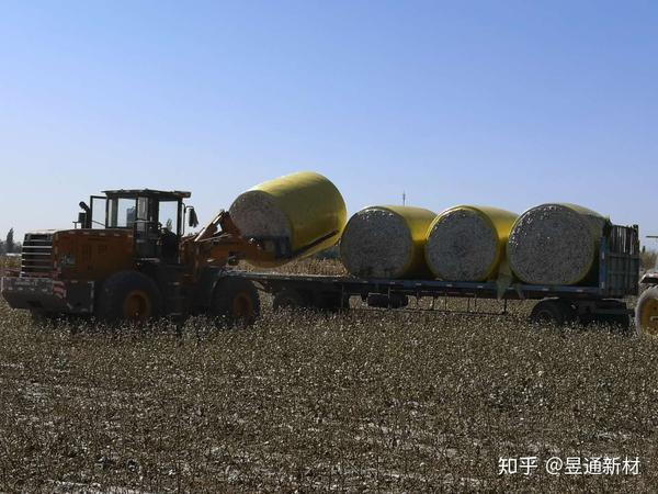 中国膜力show 3 小时前 · 来自专栏 采棉机打包膜 棉花是我国最重要