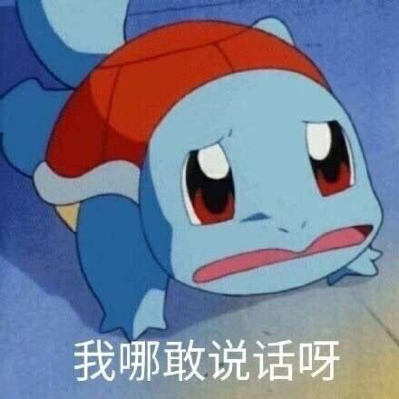 有哪些好看的杰尼龟头像？ - 知乎
