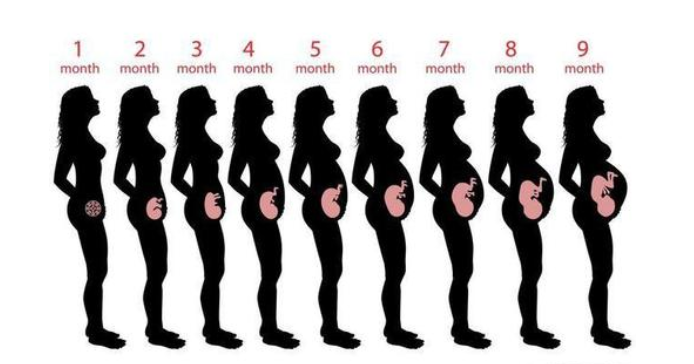 怀孕几个月显怀显怀是好是不好