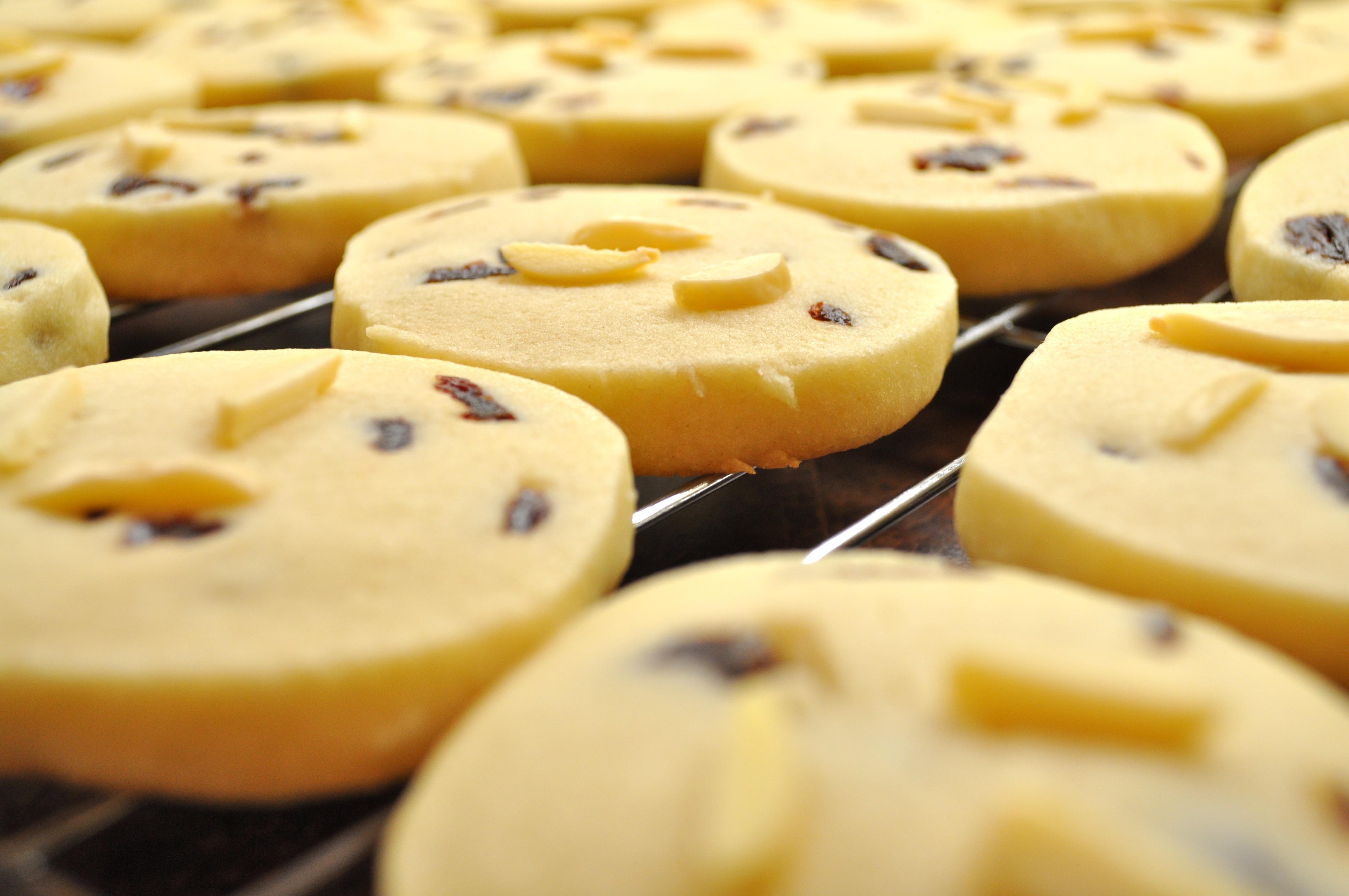 内蒙古风味钙奶饼干牛奶味羊奶味地摊展会散装饼干零食-阿里巴巴