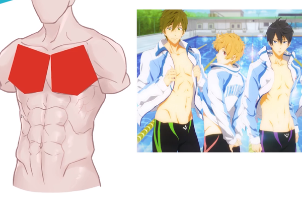 绘画小白必修课の你没有腹肌但你可以学会画腹肌一看就绘