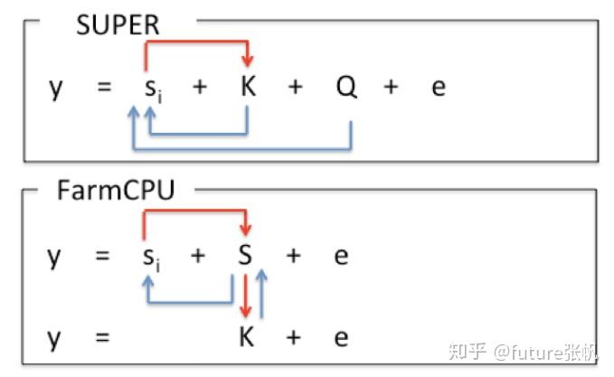利用GAPIT进行gwas和gs分析（附带方法介绍） - 知乎