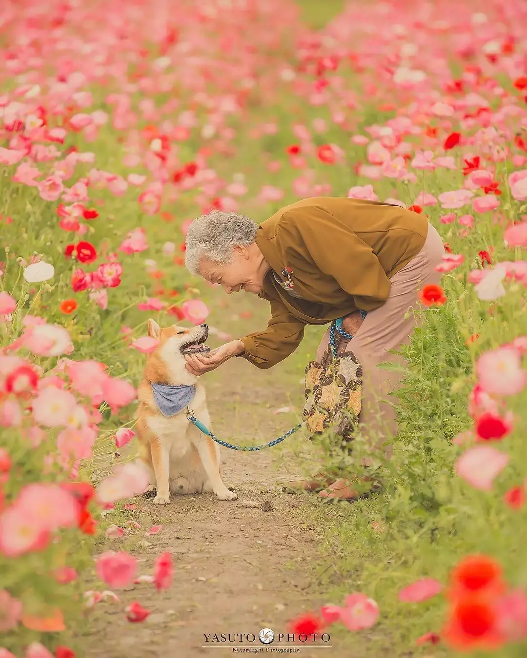 日本樱花季，老奶奶的这组照片火了 - 知乎