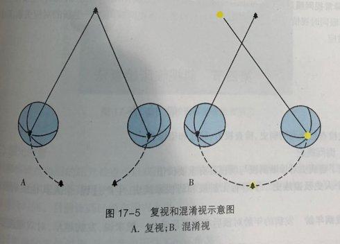 医用复视测试图片图片