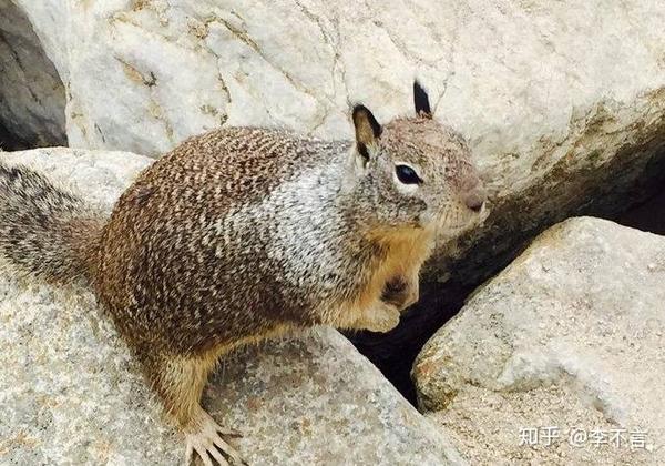 毕业季陪她去这个和中国刚刚建交的多米尼加